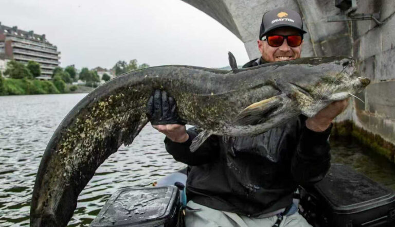 062ef9c3-c1c0-4b41-a868-f43cbf6dbc68