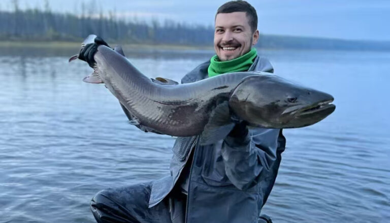 a821952c-4d65-4427-871e-b9362d4d4686